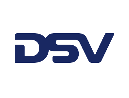 2-dsv-1-min
